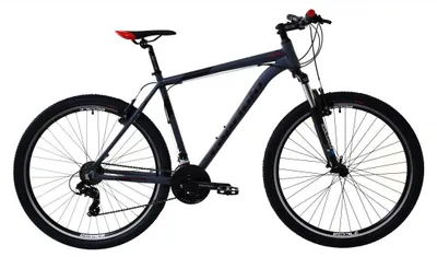 Image de Vélo de montagne Capriolo LC 9.1, modèle 29"/21, cadre en aluminium, couleur gris-rouge, année 2024