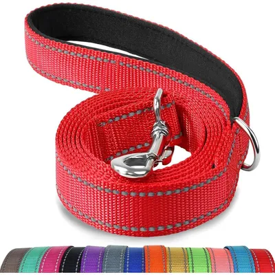 Productafbeelding van Hondenriem, dubbelzijdig reflecterend, met gevoerd handvat, 1,5 meter lang, 2,5 cm breed, rood