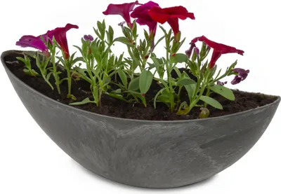 Produktbild von Große Pflanzschale oval 39 cm für draussen Dekoschale schwarz