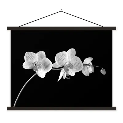 Produktbild von MuchoWow® Textilposter Orchidee - Blumen - Schwarz - Rosa - Knöpfe 150x113 cm mit schwarzem Rahmen - Wohnzimmer