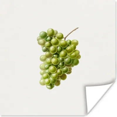 Produktbild von MuchoWow® Poster Weintrauben - Obst - Grün 50x50 cm - Wohnzimmerdekoration