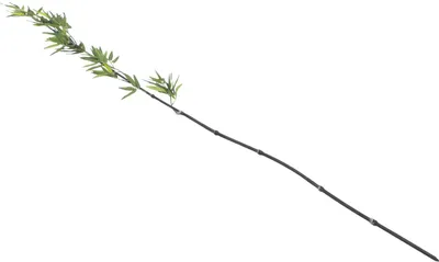 Productafbeelding van EUROPALMS bamboestak met bladeren, kunstmatig, 180 cm, set van 6 (82509260)