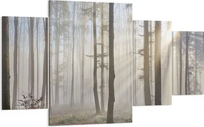 Produktbild von Bild auf Leinwand - Leinwandbild - Wald Baum Natur - 160x90cm - Wand Bild - Wanddeko - Wandbilder - Leinwanddruck - Bilder - Kunstdruck - Wanddekoration - Leinwand bilder - Wandkunst - DL160x90-3749
