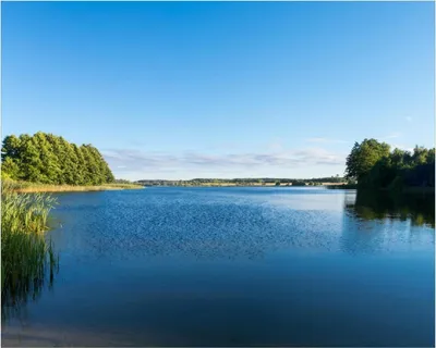 Produktbild von Wallario Poster - Malerischer See mit Schilf unter blauem Himmel, Kunstdruck Größe: 40 x 50 cm