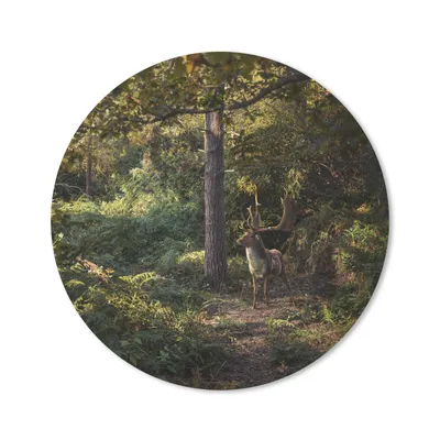 Produktbild von MuchoWow® Mauspad Mousepad Hirsch - Geweih - Wald - Herbst 30x30 cm - Mousepads - Maus Mat - Pad - Mausunterlage - Tischunterlage - Schreibtischmatten