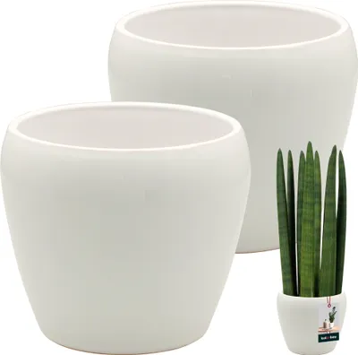 Obrázek produktu pro KOTARBAU® 2 ks květináč bílý vnitřní kulatý ⌀ 15 cm V: 15 cm glazovaný keramický květináč vnitřní květináč keramický květináč vnitřní květináč orchidejí keramický květináč velký květináč
