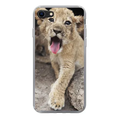 Produktbild von MuchoWow® Handyhülle Schutzhülle Hülle für iPhone 8 Jungtier - Löwen - Niedlich Silikon Softcase Handy Hülle - Schutzhaube