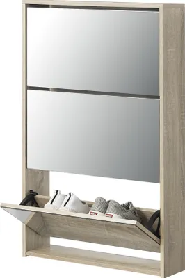A shoe cabinet with mirrored doors and a shoe rack.