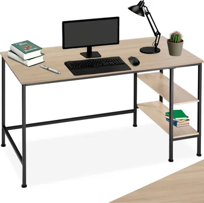 A desk with a computer, lamp, books, and a cactus.