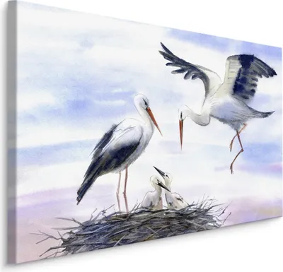 Produktbild von Fabelhafte Canvas LEINWAND BILDER 40x30 cm XXL Kunstdruck Vögel Störche Aquarell