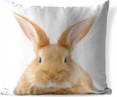 Produktbild von MuchoWow® Outdoor Kissen - Kinder - Kaninchen - Kind - Mädchen - Jungen - 40x40 cm - Wetterfest - Lounge Kissen - Kopfkissen - Interieur - Polster mit Bild