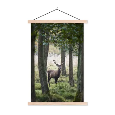 Produktbild von MuchoWow® Textilposter Hirsche - Bäume - Gras 40x60 cm mit holzfarbenen Rahmen - Poster