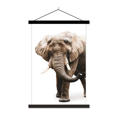 Produktbild von MuchoWow® Textilposter Elefant - Weiß - Tiere 40x60 cm mit schwarzem Rahmen - Wanddekorationen