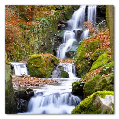 Produktbild von Wallario selbstklebende Möbelfolie/ Tischdecke für Innen und Außen, Größe: 100 x 100 cm - Bach im Wald