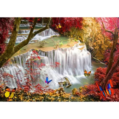 Image de Puzzle GRAFIKA Chute d'eau dans la forêt profonde 2000 pièces