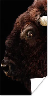 Produktbild von MuchoWow® Poster Amerikanischer Bison auf schwarzem Hintergrund 20x40 cm - Plakat - Foto
