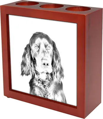 Produktbild von Gordon Setter, Schottischer Setter - Stifthalter mit Hund, Schreibtischorganizer mit Aufdruck, personalisierte Schreibtischdekoration der Marke Art-Dog