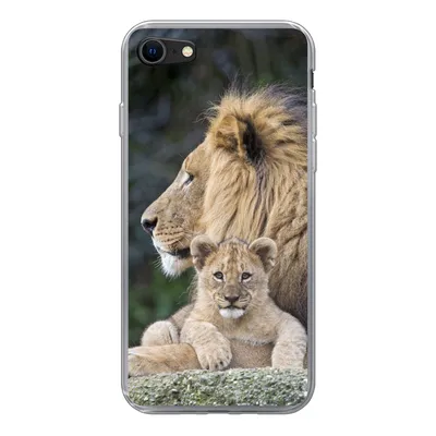 Produktbild von MuchoWow® Handyhülle Schutzhülle Hülle für iPhone 8 Erwachsener Löwe mit Jungtier Silikon Softcase Handy Hülle - Schutzhaube