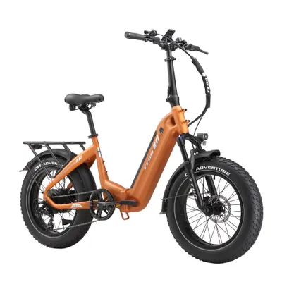 Produktbild von TTGO F6 Boost E-Bike Klapprad 20x4 Zoll, 70Nm Hinterradmotor, 140km, Drehmomentsensor, 7Gang SHIMANO, Kettenschaltung, 864 Wh,Elektrofahrrad Orange