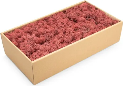Produktbild von Islandmoos 500g in 30 Farben – Konserviertes Rentiermoos Natur, Farbe:Bordeaux