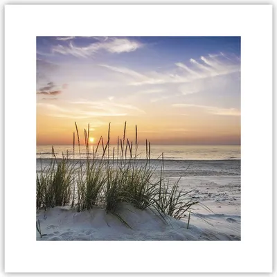 Produktbild von Poster - Poster ohne Rahmen - Westen Sonne Strand - 30x30 cm - Wand Bild - Wanddeko - Wandbilder - Kunstposter - Wandposter - Bilder - Kunstdruck - Wanddekoration - Wandbild - P2XAC30x30-4201
