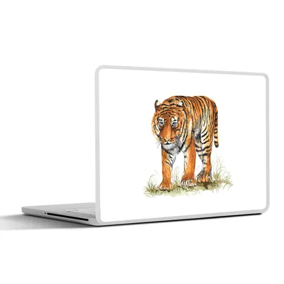 Produktbild von MuchoWow® Laptop Aufkleber Sticker Cover Tiger - Gras - Bild 25x18 cm - Laptop-Deko