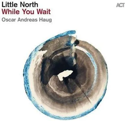 Produktbild von While You Wait
