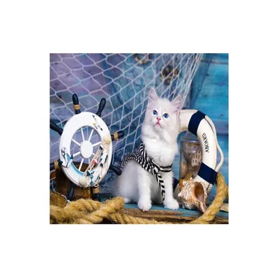 Obrázek produktu pro ENJOY Puzzle Captain Kitten 1000 dílků