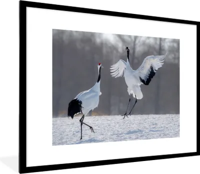 Produktbild von MuchoWow® MuchoWow® Gerahmtes Poster Kranich - Vögel - Schnee 80x60 cm - Poster mit zchwarzem Bilderrahmen - Schlafzimmer-Dekorationen - Fotoposter