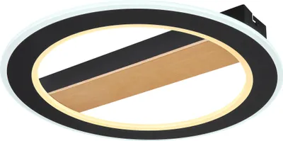Obrázok produktu pre Globo Lighting stropné svietidlo kov čierna matná, LED