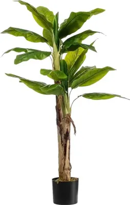 Produktbild von aplanta Künstlicher Bananenbaum – Maliora | 140 cm, UV-beständig, für drinnen, Kunstpflanze, wie echt, Allergiker geeignet, pflanzliche Dekoration Praxis, Office & Wohnzimmer