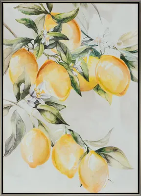 Produktbild von ArtUniverse Leinwandbild Zitronenbaum I 52,5 x 72,5 cm