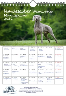 Produktbild von Hundezauber Weimaraner Planer DIN A4 Kalender für 2026 Welpen und Hunde - Seelenzauber