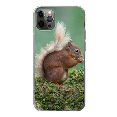 Produktbild von MuchoWow® Handyhülle Schutzhülle Hülle für iPhone 12 Pro Max Waldtier - Eichhörnchen - Moos Silikon Softcase Handy Hülle - Hartschale