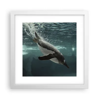 Produktbild von Gerahmtes Poster - Weißer Rahmen - Tauchen Pinguin Gletscher - 30x30 cm - Wand Bild - Wanddeko - Wandbilder - Kunstposter - Wandposter - Bilderrahmen - Bilder - Kunstdruck - Wandbild - P2WAC30x30-4189