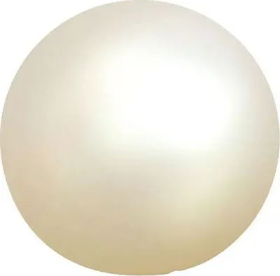 A single, round, pearl-like object against a white background.