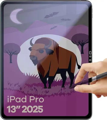 Produktbild von Hybridglas mit Privatschutzfilter für iPad Pro 13" M5 2025, Bizon Glass Tab Mule Shadow, Matt