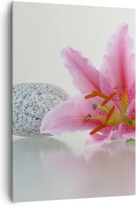 Produktbild von Bild auf Leinwand - Leinwandbild - Einteilig - Lilienblüte grün Pflanze - 70x100cm - Wand Bild - Wanddeko - Wandbilder - Leinwanddruck - Wanddekoration - Leinwand bilder - Wandbild - PA70x100-0485