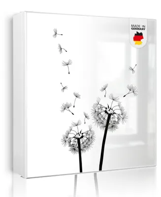Zdjęcie produktu dla banjado metalowa szafka na klucze, duża 30x30 cm z 32 haczykami, może służyć jako tablica magnetyczna, biały korpus, zawias po lewej stronie, Pusteblume 2 [SKGW2 10361]