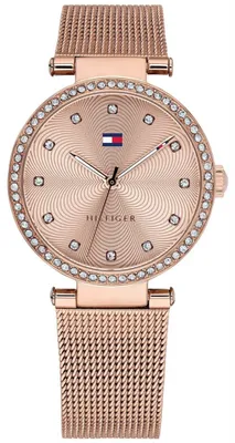 Image de Montres Tommy Hilfiger ty529070