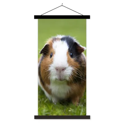 Produktbild von MuchoWow® Textilposter Zwei Meerschweinchen 90x180 cm mit schwarzem Rahmen - Dekoration Wohnzimmer