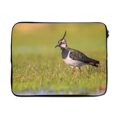 Produktbild von MuchoWow® Laptop Hülle 17 Zoll Laptoptasche Vogel - Gras - Natur - Tiere - Kiebitz - Zipper - Schutzabdeckung