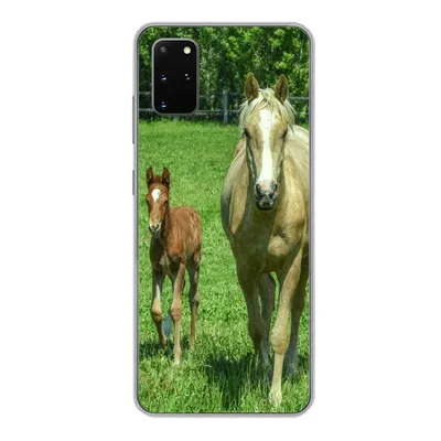 Produktbild von MuchoWow® Handyhülle Schutzhülle Hülle für Samsung Galaxy S20 Plus Pferd - Fohlen - Tiere Silikon Softcase Handy Hülle - Hartschale