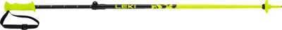 A single ski pole against a white background.