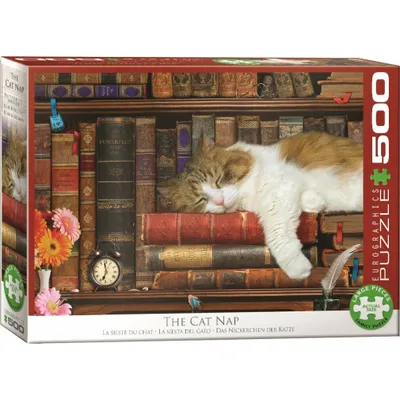Immagine prodotto di Eurographics Puzzle Katzennickerchen, Kätzchen, 500 Teile, 68 x 48 cm, 6500-5545