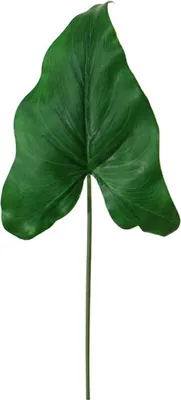 Produktbild von artplants.de Deko Blatt Anthurium ESAD, grün, 40cm - Kunstpflanzen Blatt
