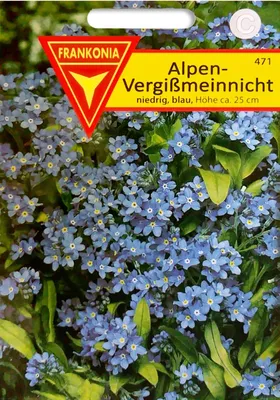Produktbild von Vergissmeinnicht | Vergissmeinnichtsamen von Frankonia Samen, Farbe:blau
