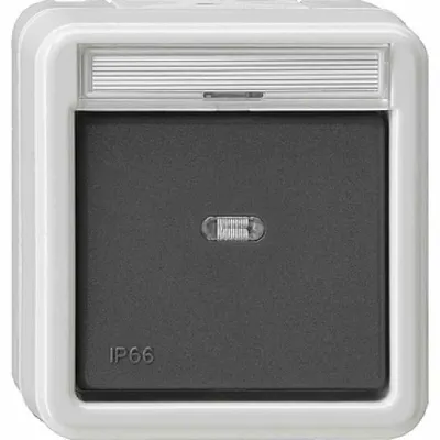 Zdjęcie produktu dla GIRA 010631, Szary, Biały, 250 V, 10 A