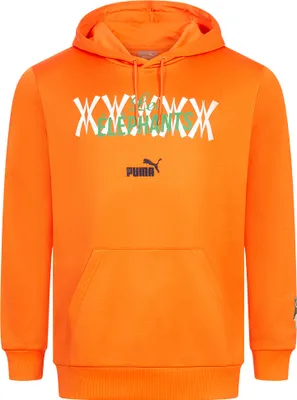 Produktbild von L|Elfenbeinküste PUMA FtblCulture Hoodie Herren Kapuzen Sweatshirt 772486-07