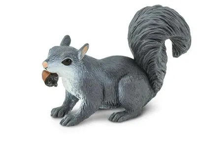 Produktbild von Safari Ltd Graue Eichhörnchenfigur Grau From 3 Years Kinder Grau From 3 Years